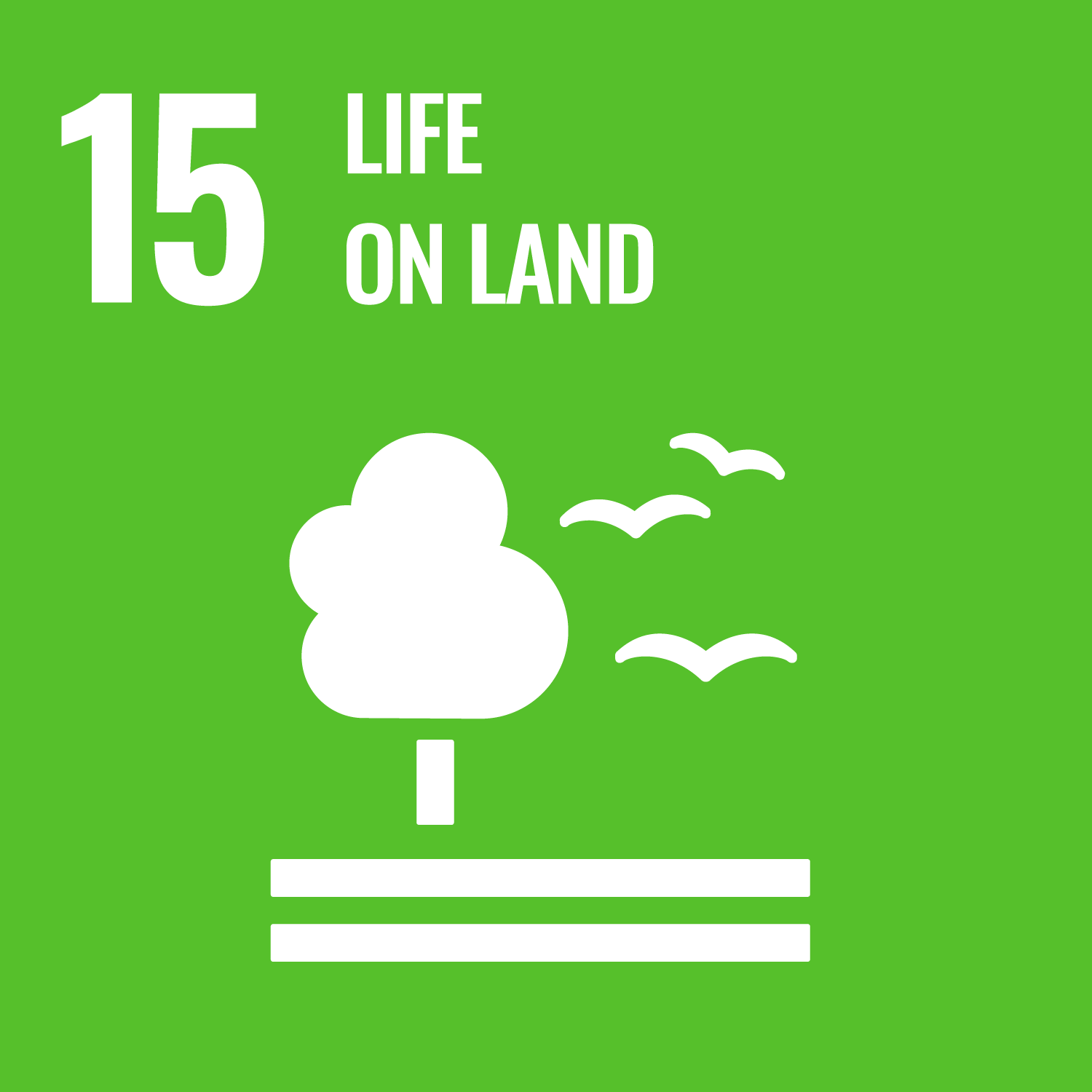 sustainable-development-goals-life-on-land