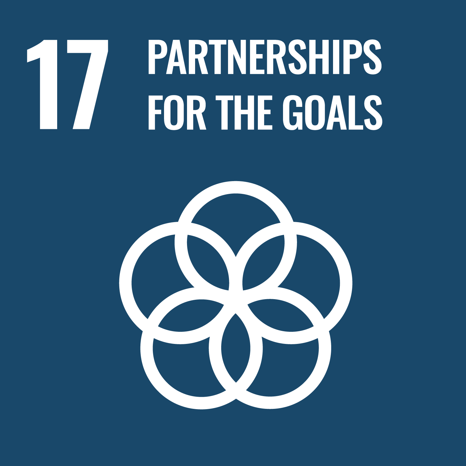 sustainable-development-goals-partnership-for-the-goals