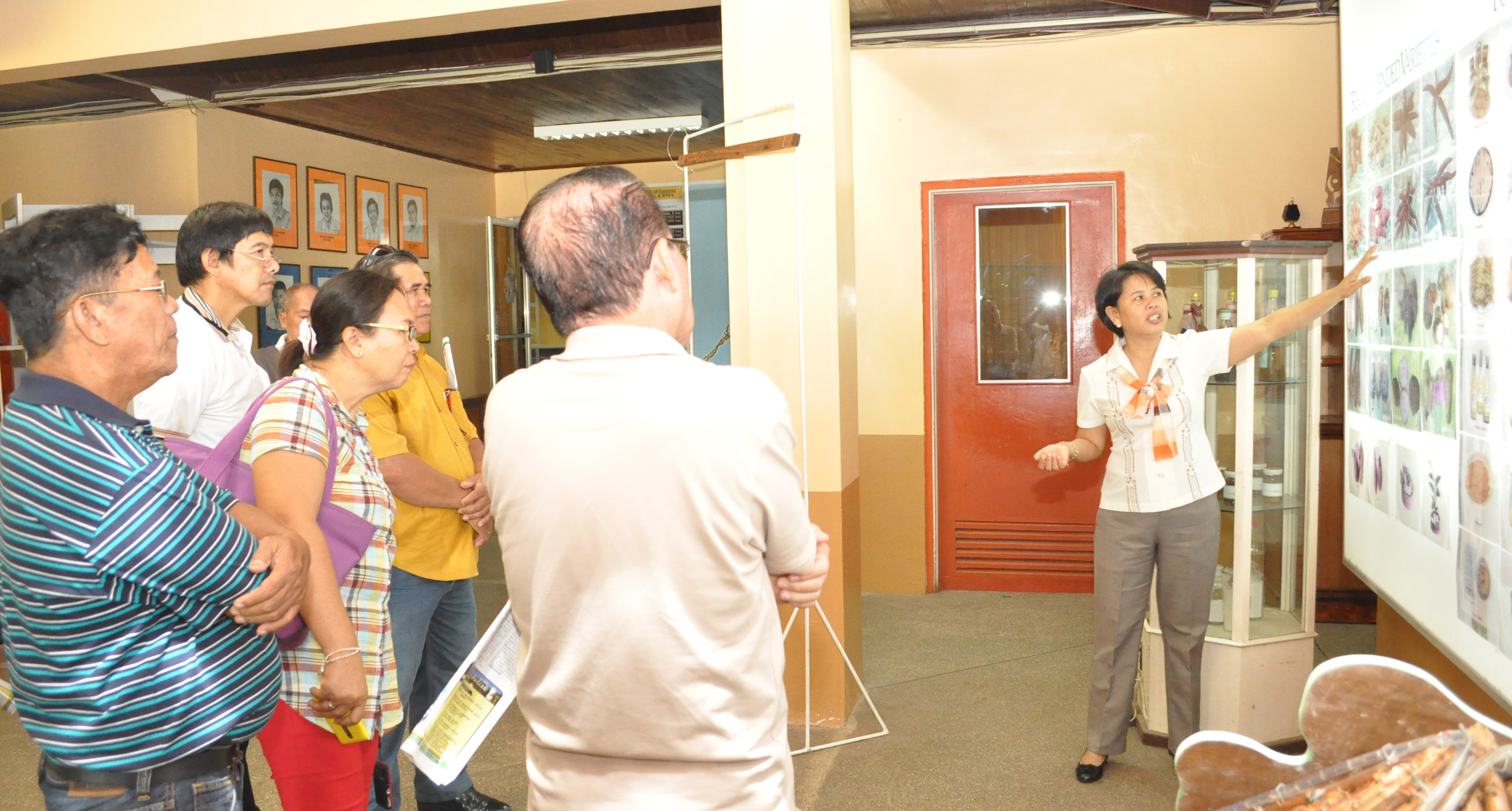 Ms. Elsa M. Umpad, staff of PhilRootcrops, discussing the different root crop varieties and the by-products. 