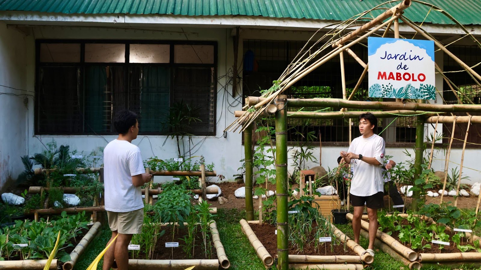 Mabolo UISB Gardening Winner