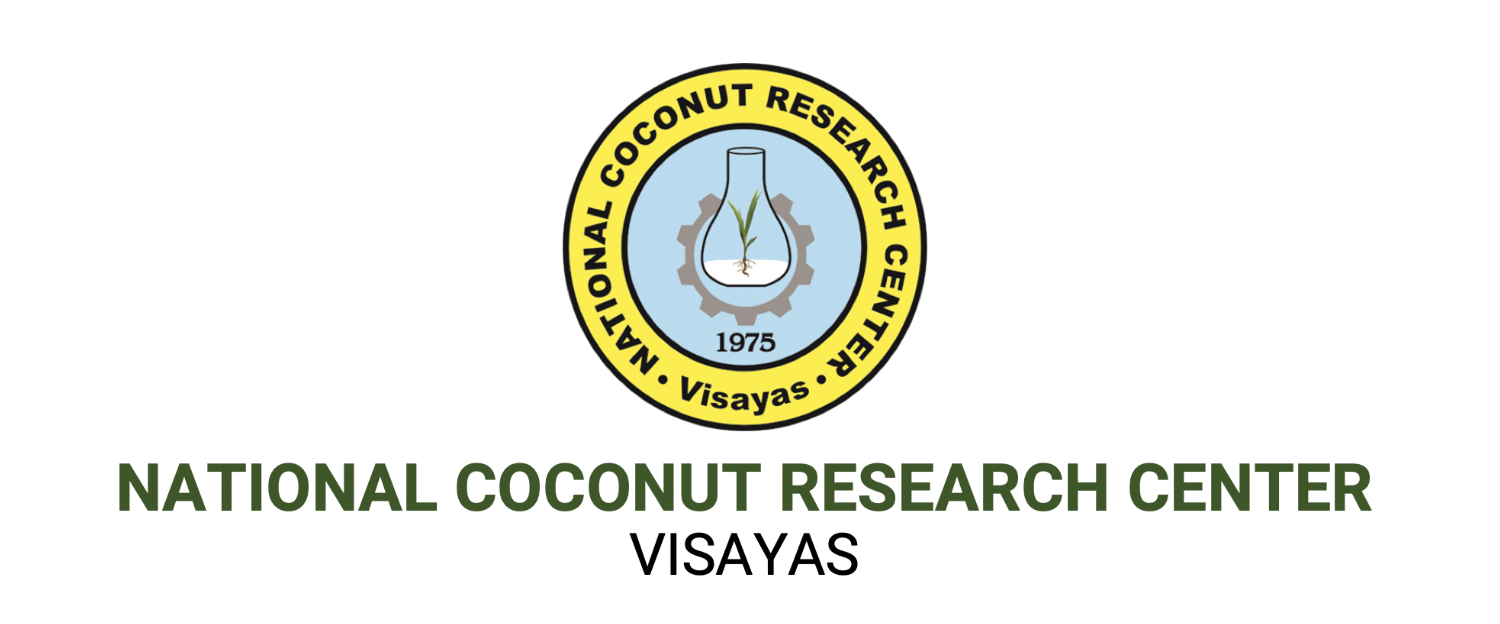 NCRV Visayas Web.png