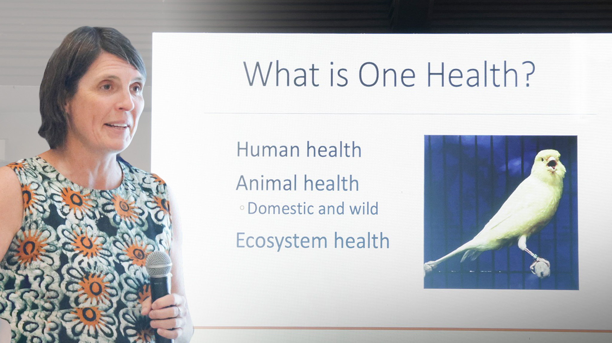 One Health 2024