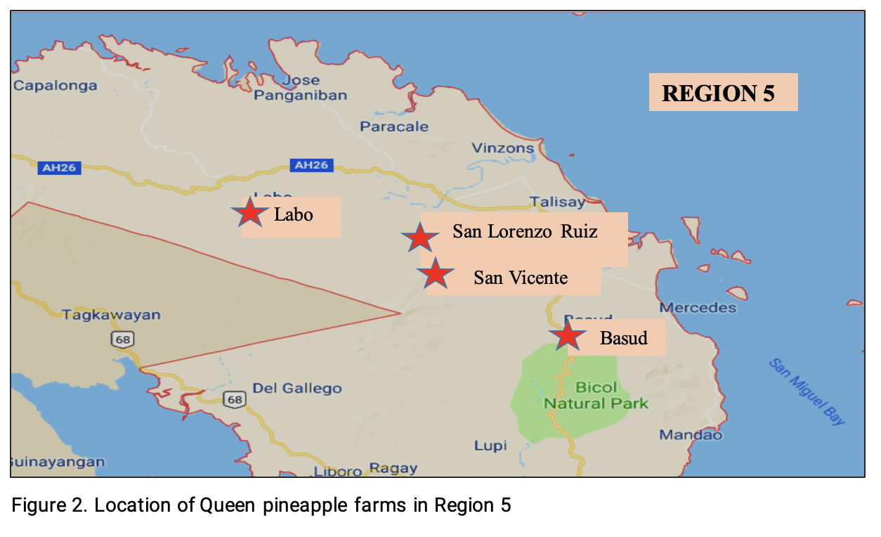 QP Region 5.png