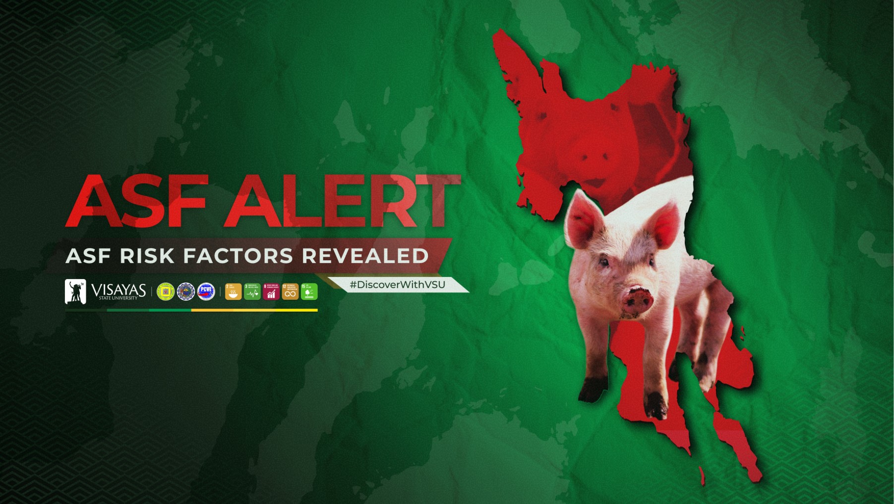 DiscoverWithVSU_Study_pinpoints_factors_linked_to_ASF_outbreaks_in_Leyte_pig_farms-thumbnail