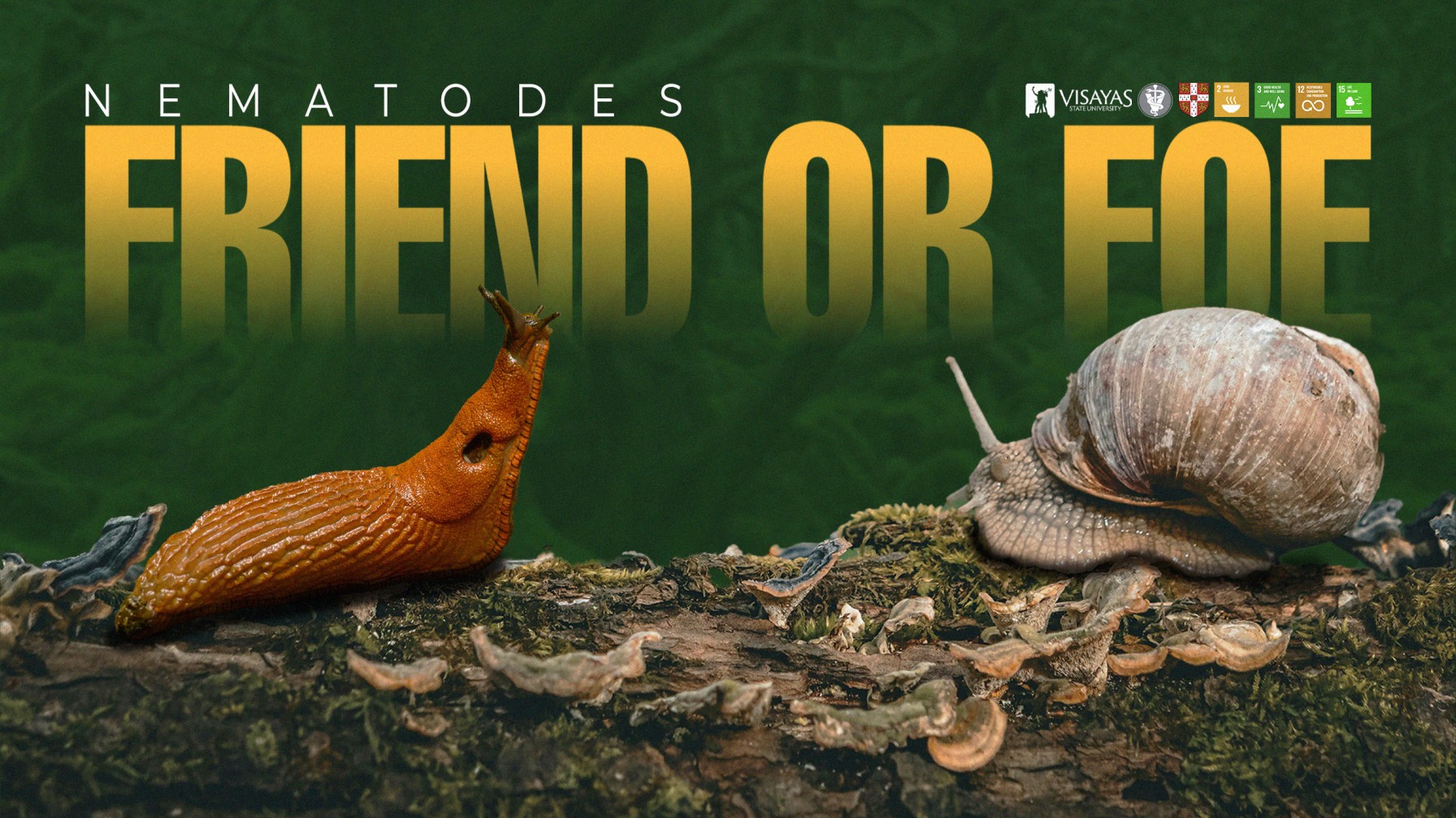 DiscoverwithVSU-What-slugs-and-snails-can-tell-us-about-safer-farming-and-animal-health