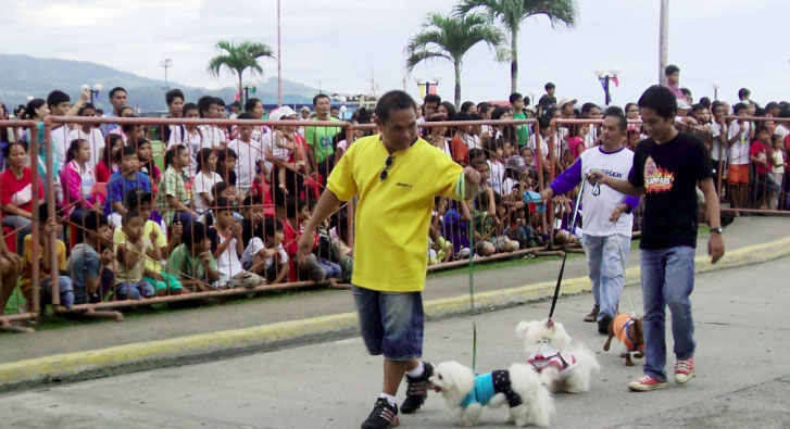 dog show